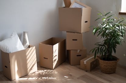Cajas de cartón en plena mudanza.