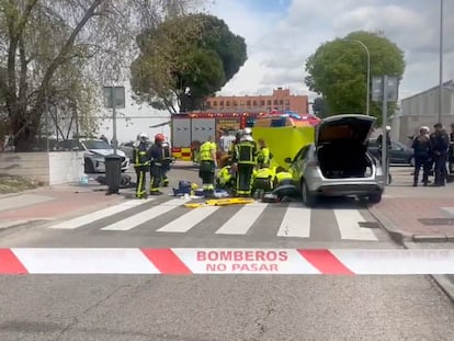 Los servicios de emergencias actúan en el lugar del atropello de la madre y su bebé.