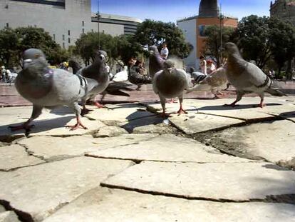 Baldosas rotas en la plaza de Catalunya