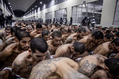 El Salvador gang members