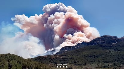 El incendio forestal de Paüls (Tarragona) ya afecta a una superficie de unas 500 hectáreas, el 90 % dentro del Parque Natural de Els Ports, según datos provisionales de los Agentes Rurales.