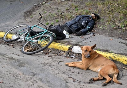 Un perro, junto al cuerpo de un hombre, posiblemente su dueño, en Bucha el 3 de abril de 2022.