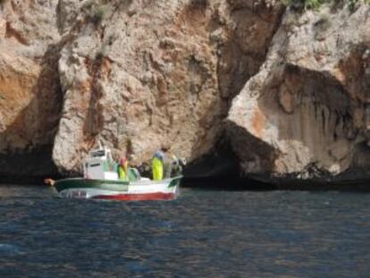 ‘Trasmalleros’ pull up their trammel nets near Morro Toix, in Altea.