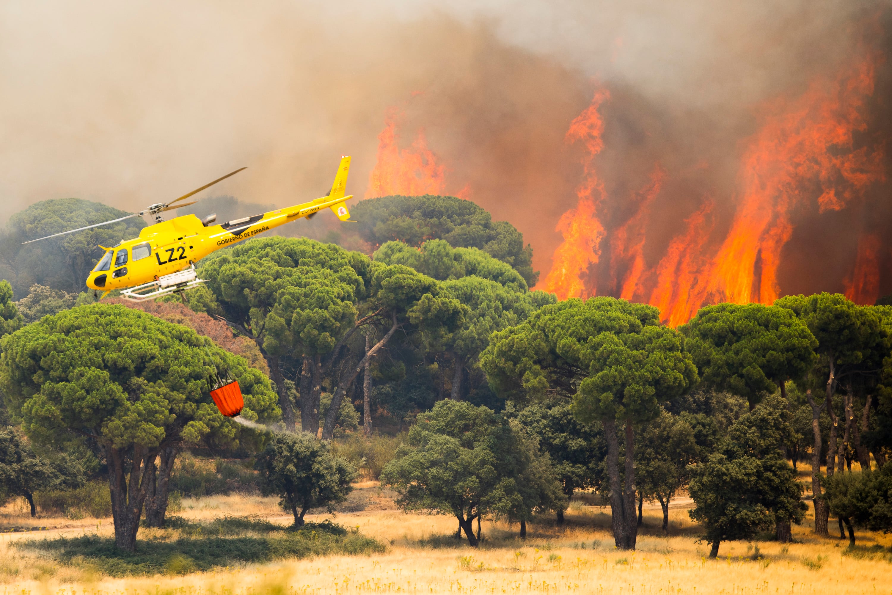 Última hora de los incendios forestales, en directo | Marlaska: “Estamos enfrentando el incendio más importante y agresivo de la historia de España”