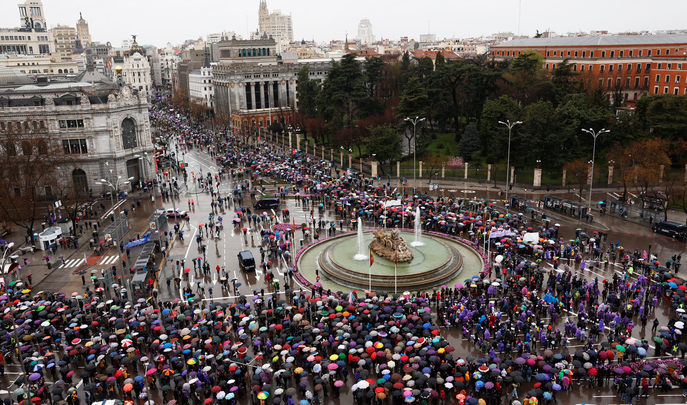 8M: las manifestaciones del Día Internacional de la Mujer, en directo | Miles de personas se manifiestan por los derechos de las mujeres y contra la “motosierra de la extrema derecha” | 8M: Día de la Mujer – Go Health Pro