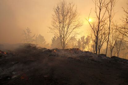 Zona de arbolado en Marín, arrasada los dos últimos días por el fuego.