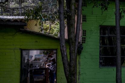 Este paraíso salvaje, inspirado en la teoría científica de Michael H. Robinson, un zoólogo británico a cargo del Zoológico Nacional en Washington D.C. durante 16 años, es el único de estas características en Colombia. Siguiendo su filosofía, el equipo técnico, compuesto por veterinario, zootecnista, biólogo y experto en ave rapaces, busca encontrar el balance en la conservación. “En Colombia es importantísimo encontrar el punto medio porque está todo llevado a los extremos”, explica Iván Lozano, director y fundador del proyecto.