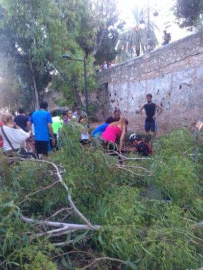 Un ciclista es socorrido por los transeúntes en el Jardí del Turia tras la caída de una rama.