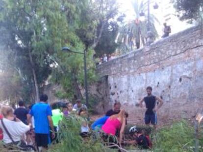 Un ciclista es socorrido por los transeúntes en el Jardí del Turia tras la caída de una rama.