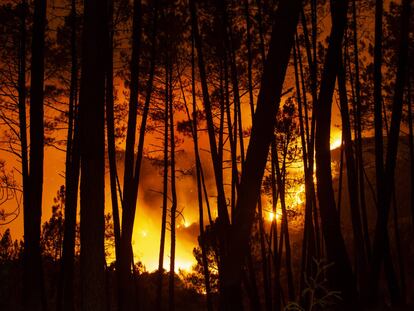 El incendio de Lugo,en imágenes