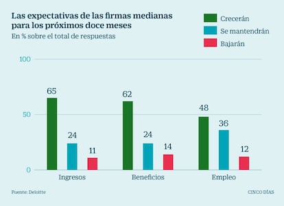 Expectativas de las empresas medianas para los pr&oacute;ximos 12 meses