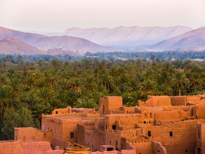 Los oasis de palmeras y desierto cálido, como este de Tamnougalt (Marruecos), apenas representan el 4% del total. La mayoría ni tienen palmeras, ni hace calor y están en Asia central.