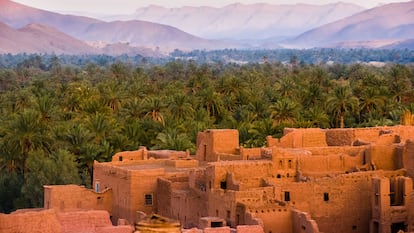 Los oasis de palmeras y desierto cálido, como este de Tamnougalt (Marruecos)