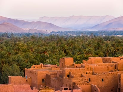 Los oasis de palmeras y desierto cálido, como este de Tamnougalt (Marruecos)