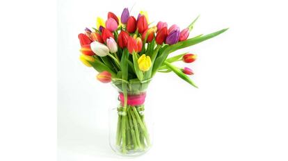 Tulipanes de colores.