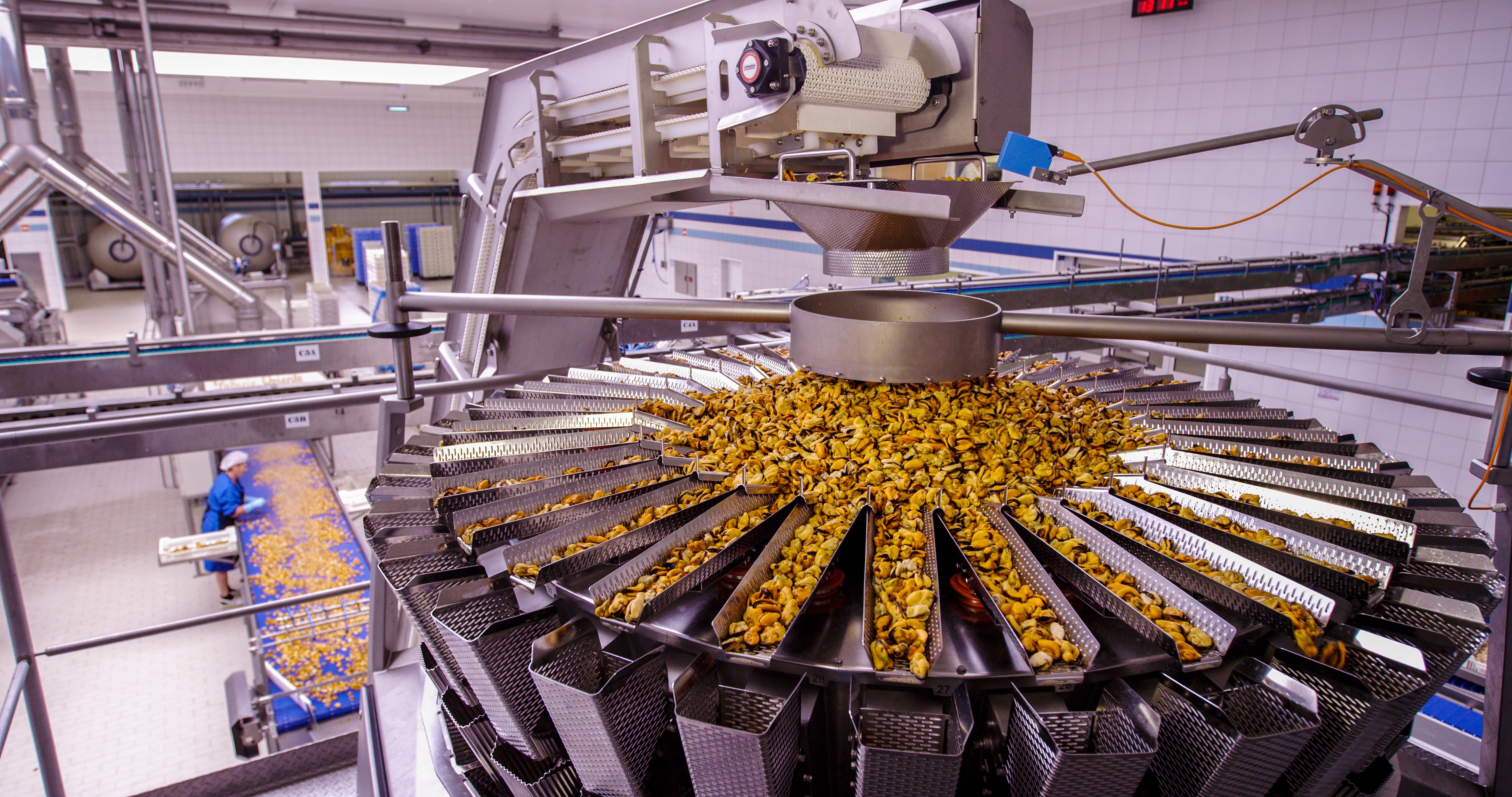 La despensa gallega se lanza a por nuevos mercados en el exterior