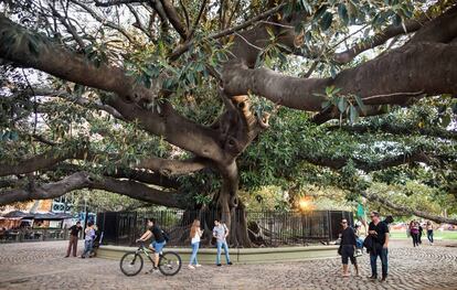 Escena en el barrio de Recoleta de Buenos Aires.