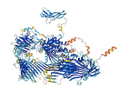 Predicción de AlphaFold de la estructura de la vitelogenina, una proteína esencial para todos los animales que ponen huevos.