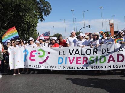 Manifestantes de REDI en el Orgullo 2019 de Madrid.