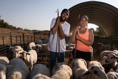 Nereida Segovia y Eric Gaspà junto a sus ovejas en el cobertizo donde descansan los animales.