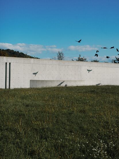 Una bandada de cuervos sobrevuela el pabellón de conferencias (1983) de Tadao Ando.