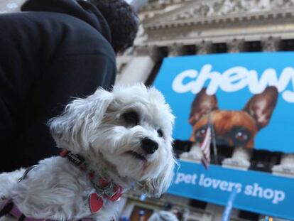 Debut en la Bolsa de Nueva York de Chewy, firma dedicada al comercio electrónico de alimentos y productos para mascotas.