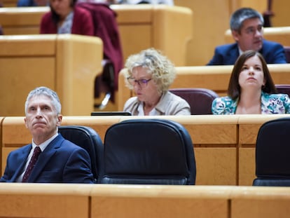 El ministro del Interior, Fernando Grande-Marlaska, durante la sesión de control al Gobierno en el Senado de este martes.