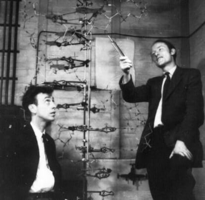 James Watson y Francis Crick (derecha), posan junto a un modelo de la estructura en doble hélice del ADN.