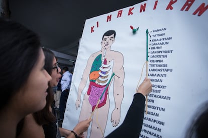 Jóvenes interactúan con un diagrama del cuerpo humano en totonaco durante la feria de las Lenguas Indígenas Nacionales 2018, en Ciudad de México. 