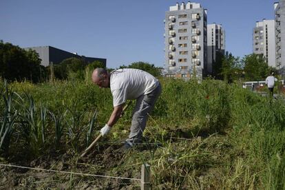 Un usuario de un huerto urbano del barrio de Lakua, en Vitoria, cuida de su terreno durante el primer día de entrada en vigor de la fase 0 del desconfinamiento.