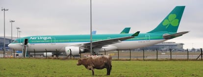 Imagen de un avi&oacute;n de Aer Lingus en el aeropuerto de Dubl&iacute;n.