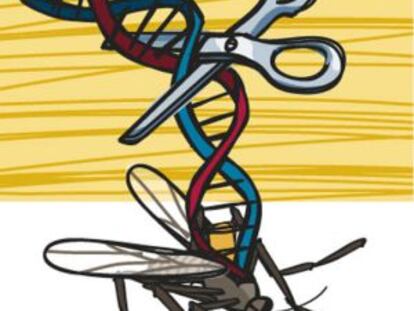 Transgénicos voladores