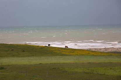 Desde el jardín se divisa el océano Atlántico.