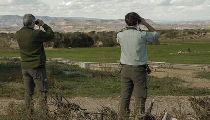 Dos agentes rurales vigilan un campo de Lleida.