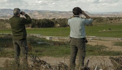 Dos agentes rurales vigilan un campo de Lleida. 