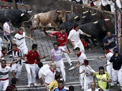 La ganadería sevillana de Miura.