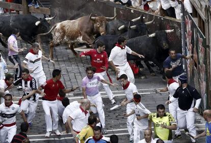 La ganadería sevillana de Miura.