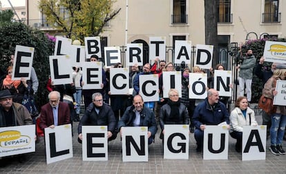 Concentració per la llibertat d'elecció de llengua a València.