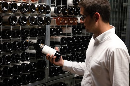 Diego Mur, director de marketing de la bodega, inspeccionando una de las 24 referencias de vinos de Sommos; debajo, imagen de la vendimia.