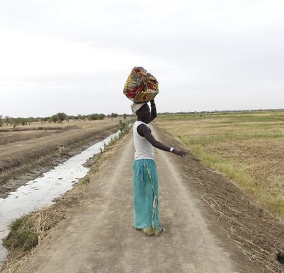 Las mujeres transportan los fardos de comida sobre las cabezas.