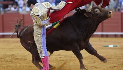 El torero López Simón da un pase con la muleta al toro al que cortó el único trofeo en el mano a mano con el diestro Manuel Escribano, en la plaza de la Real Maestranza de Sevilla.