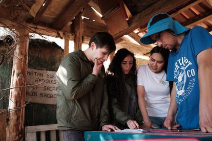 Members of the environmental group Propacha gathered in the Bolognia forest.