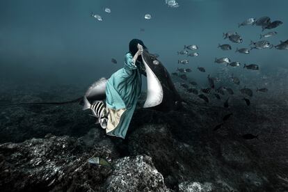 La apneísta japonesa Ai Futaki se convierte ante la cámara de Isabel Muñoz en el elemento humano de la serie 'Somos agua' (2021). Aquí baila con una mantarraya en los fondos marinos de Tenerife. 