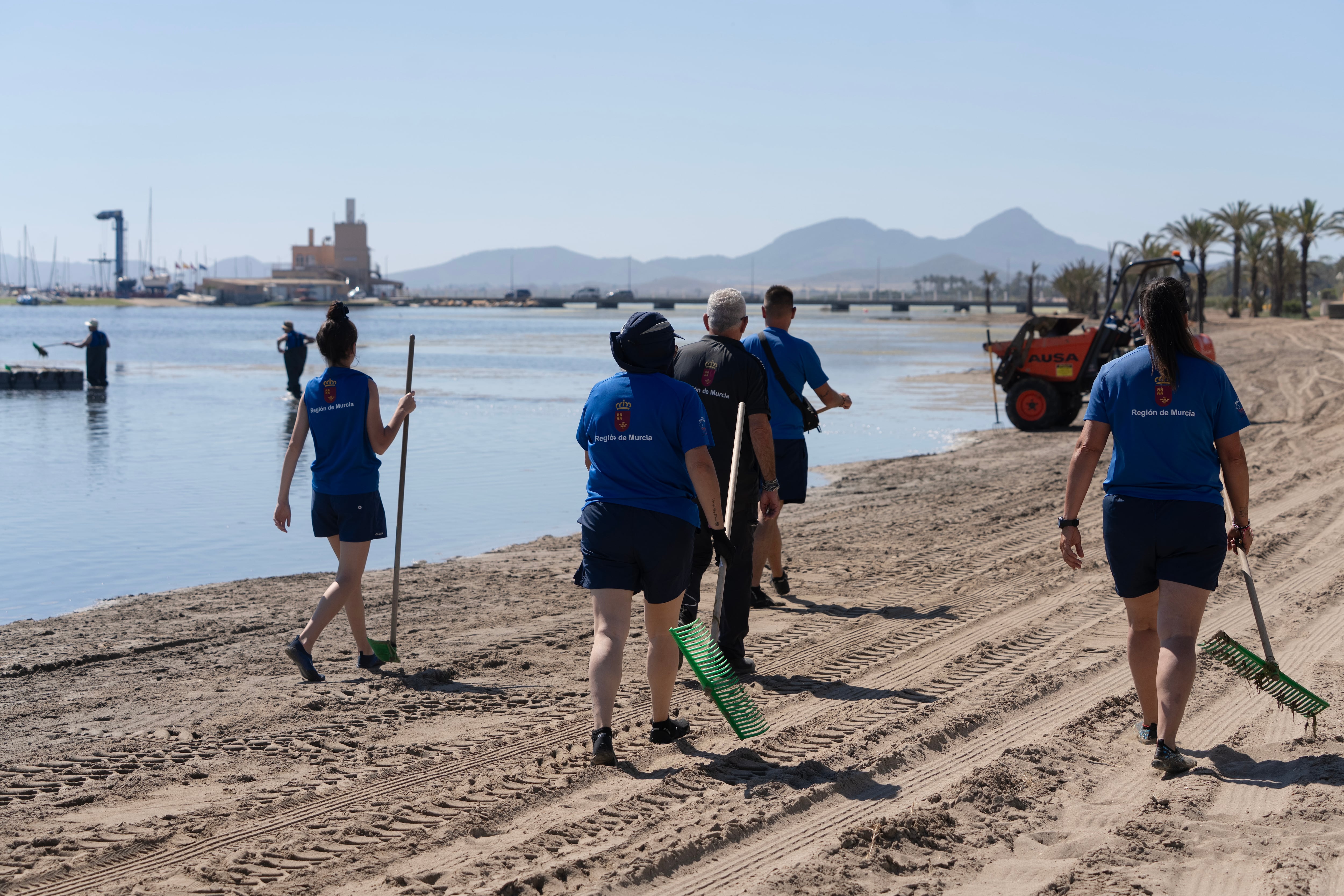 Brigada que retira el exceso de biomasa del Mar Menor para evitar que se pudran y se dispare el consumo de oxígeno.