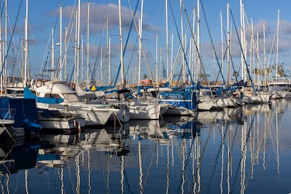 Barcos en el Muelle Deportivo de Las Palmas de Gran Canaria, este jueves. 