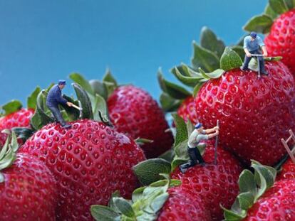 Un gran apetito por la creación