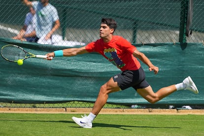 Carlos Alcaraz Wimbledon