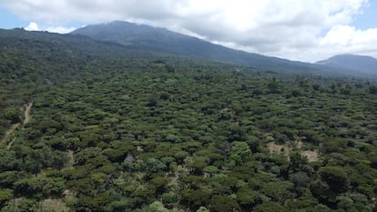 Uno de los terrenos adquiridos por los hermanos Bukele, en El Salvador.