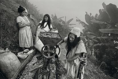 Empaquetado y procesado de granos de café en la Sierra Nevada de Santa Marta, Colombia (2007).