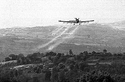 Las fumigaciones y el uso de pesticidas es una fuente de contaminación que se acumula en el ambiente.